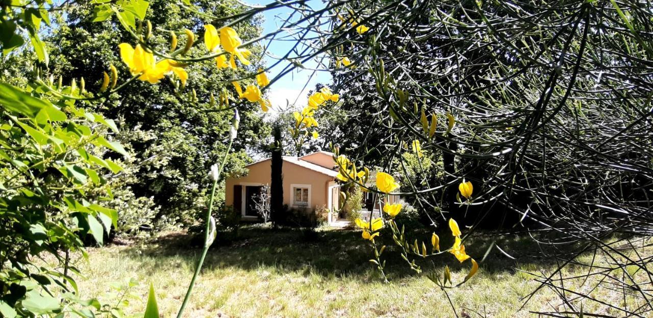 Les Lilas Des Chenes Piolenc Zewnętrze zdjęcie