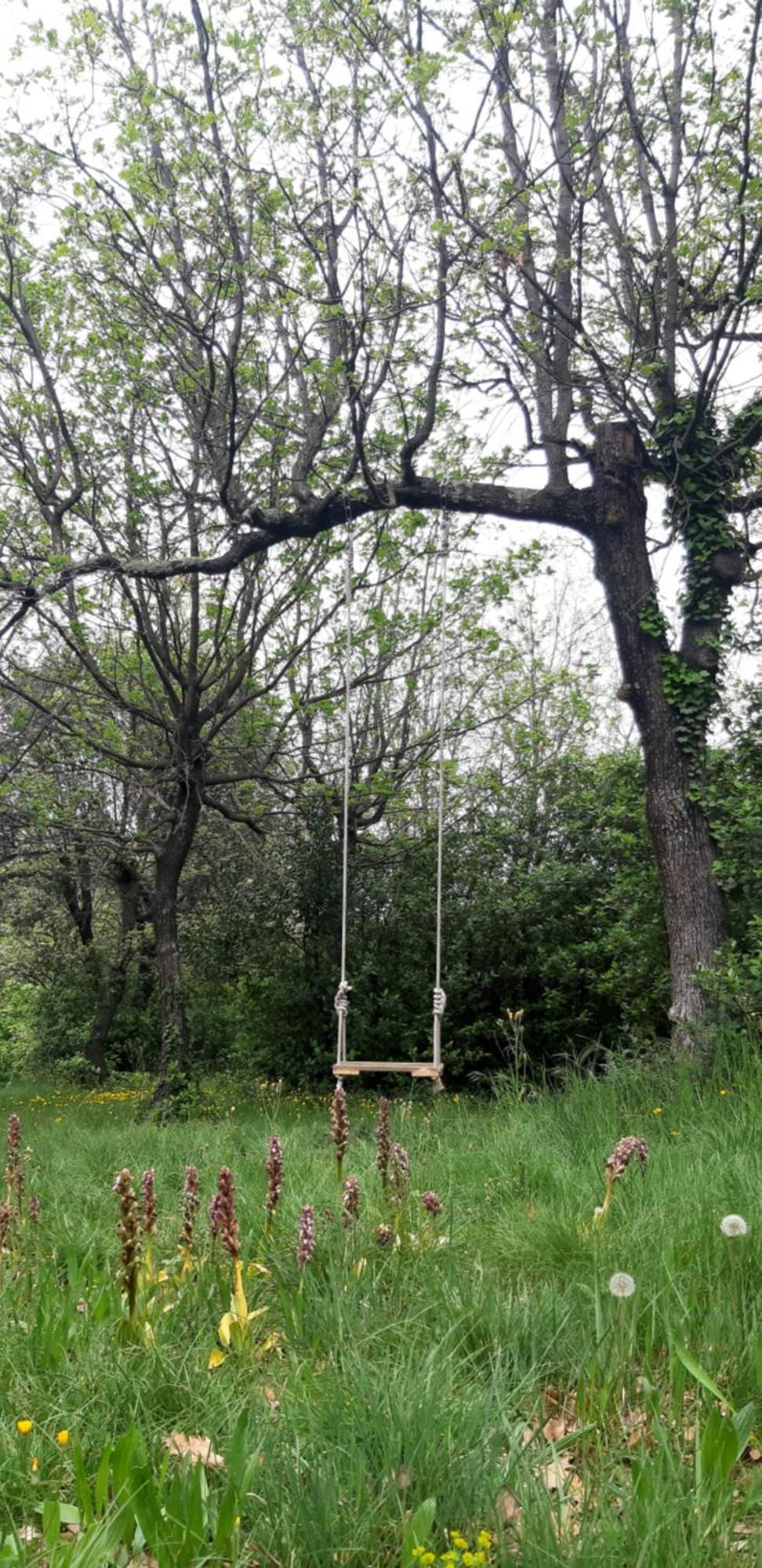 Les Lilas Des Chenes Piolenc Zewnętrze zdjęcie