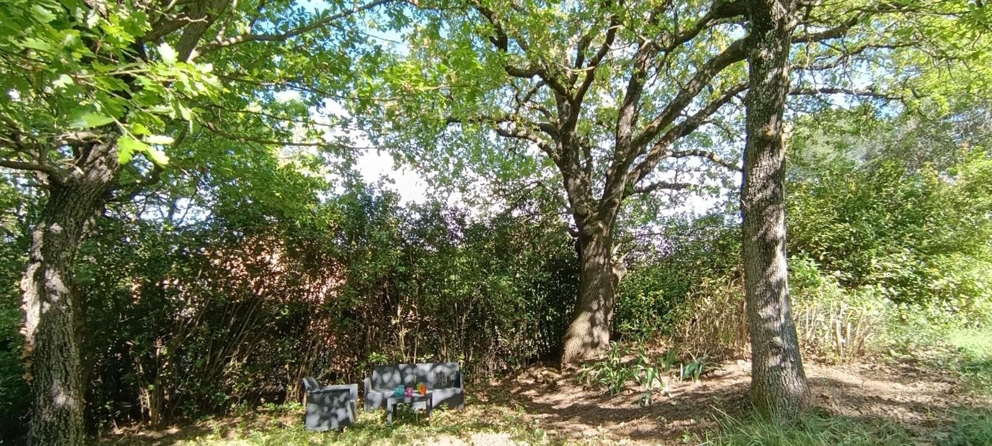 Les Lilas Des Chenes Piolenc Zewnętrze zdjęcie