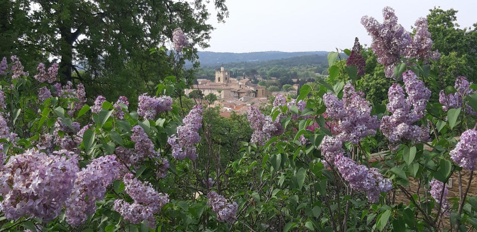Les Lilas Des Chenes Piolenc Zewnętrze zdjęcie